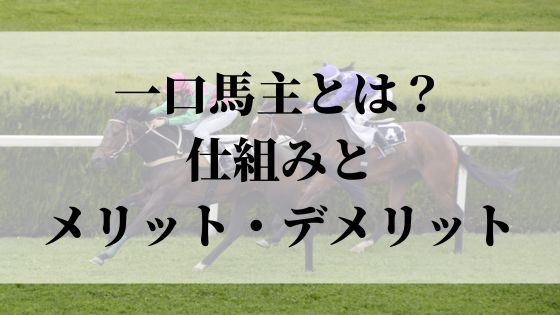 一口馬主の仕組みとメリット・デメリットを解説